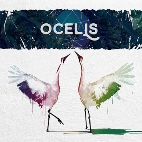 Ocells — A la pell